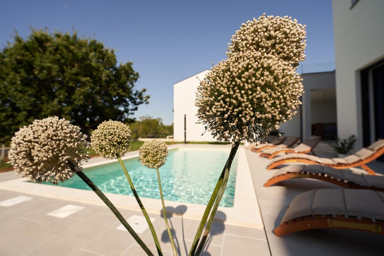 Villa Martin Noel بوريتش المظهر الخارجي الصورة